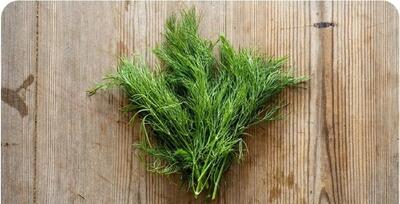 خواص یک سبزی که برای همه چیز مفید است!