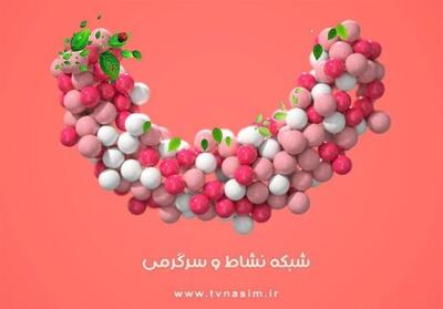 واکنش صداوسیما به تمسخر عربستان در برنامه محسن افشانی
