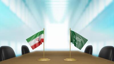 سخنگوی دولت: ما نگاه راهبردی به عربستان داریم و بر منافع مشترک با این کشور، معتقدیم