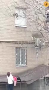 ببینید؛ عملیات ناموفق نجات گربه گیر کرده روی درخت
