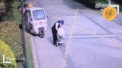 ببینید؛ حمله مرگبار ببر آمور به سگ خانگی