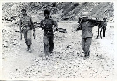 اژدر و ببر و پلنگ در ارتش ایران!