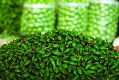 نوبرانه های بهاری؛ نوستالژی طعم‌های فراموش نشدنی