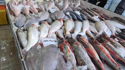 قیمت انواع ماهی در میادین تره‌بار