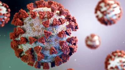 چرا باید HPV را جدی بگیریم؟