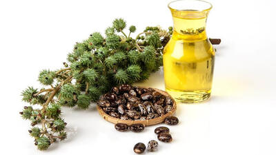 روغن معجزه‌ گری که سنگ کلیه را نابود می‌ کند! + راهنمای استفاده