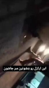 فیلم درگیری مسلحانه  اوباش در فشافویه ! / درخواست مردم : اراذل را بنشانید سرجایشان !