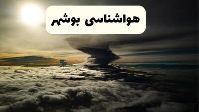 هواشناسی بوشهر؛ گرد و غبار عجیب بوشهر را فرا می‌گیرد