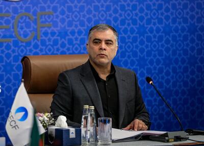 پشتیبانی از سرمایه‌گذاران با صندوق تضمین نفت - شهروند آنلاین