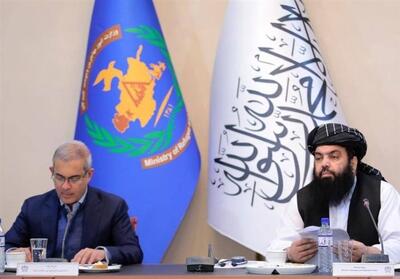 طالبان: خشونت علیه پناهجویان در پاکستان سبب نفرت می‌شود - تسنیم