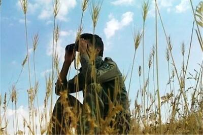 ارتقای دانش محیط بانی با راه‌اندازی رشته دانشگاهی