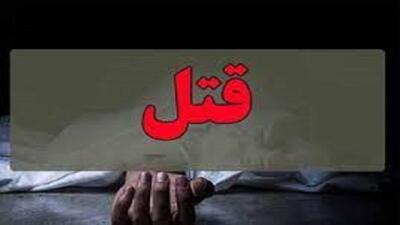 پدرکُشی در کبودرآهنگ/ قاتل در دام پلیس افتاد