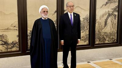 کشور‌های عضو سازمان شانگهای برای توسعه مناسبات قضایی ظرفیت بالایی دارند