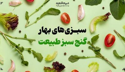 انواع غذا با سبزی‌های بهار، گنج سبز طبیعت