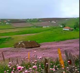ییلاق زیبای لوراهونی در تالش