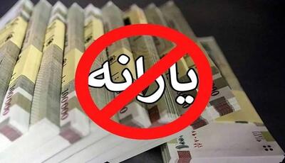 نماینده مجلس: یارانه ۲۵ میلیون نفر حذف می‌شود