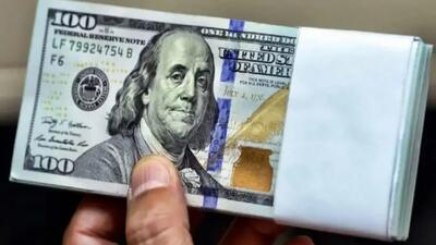 مقاومت عجیب دولت در برابر کاهش نرخ ارز و تقویت پول ملی