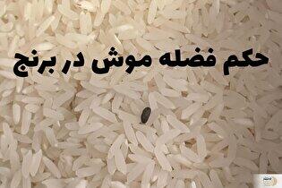 احکام شرعی فضله موش در برنج