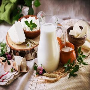 افزایش ۴۳ درصدی صادرات محصولات لبنی
