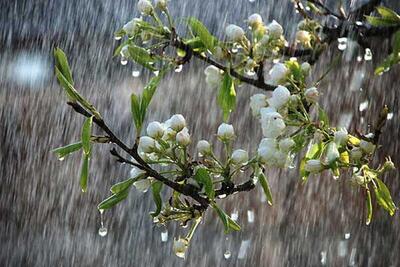 ۵ روز از اردیبهشت با رگبار و رعد و برق