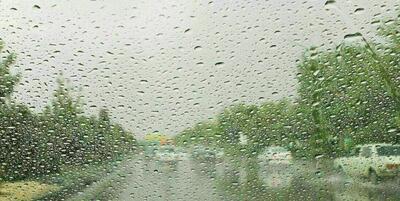 بارش شدید باران در اردبیل + ویدئو