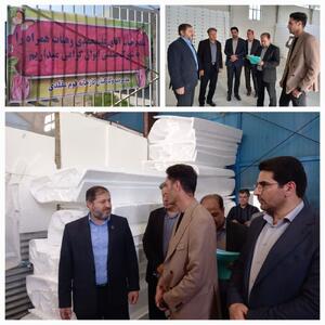 سلب مالکیت از ۶ کارخانه غیرفعال در ایلام