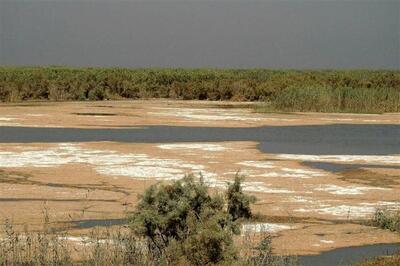 ایران در گرد و غبار فرو می‌رود؛ ۶۶ درصد تالاب‌ها کانون بحران زیست‌محیطی