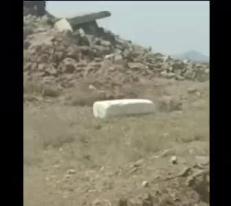 تمرین سگ‌های هلال احمر برای روز حادثه