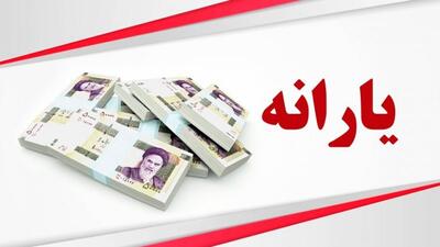 یارانه ۲۵ میلیون ایرانی حذف می‌شود