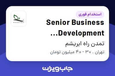 استخدام Senior Business Development Executive در تمدن راه ابریشم