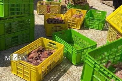 رئیس حوزه قضایی بخش آفتاب: ۴ تن گوشت مرغ و بوقلمون فاسد در شهرک مرتضی‌گرد کشف و معدوم شدند