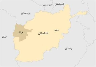 اتاق تجارت افغانستان–ایران 46 واحد مسکونی ساخت - تسنیم