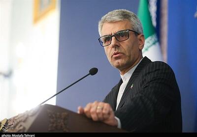بقائی: اعمال تحریم در تناقض با ادعای آمریکا برای گفتگو است - تسنیم