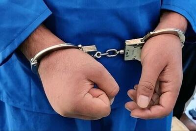 بازداشت ۴ نفر از عوامل شبکه یک - آینه فردا