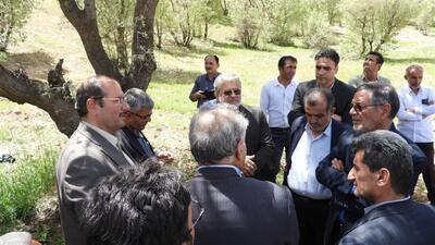 ۱۵ تا ۳۰ درصد جنگل‌های زاگرس درگیر آفت‌ها و بیماری‌ها هستند