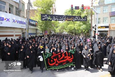 عکس/ ایران در سوگ