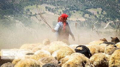 حدود پنج هزار خانوار عشایری خراسان‌شمالی راهی ییلاقات شدند