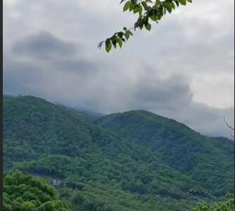 طبیعت زیبای سد میجران رامسر