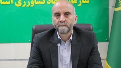 «الگوی کشت» یکی از الزامات توسعه پایدار کشاورزی است