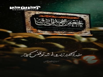 استوری/ خدا نکنه زندونی شه تو قفس کبوتر...