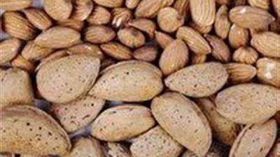 افزایش صادرات مغز بادام از چهارمحال و بختیاری