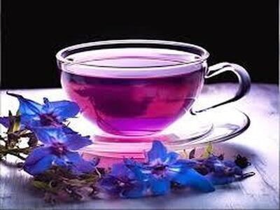 خواص معجزه آسای دمنوش گل گاوزبان که قبل از مصرف باید بدانید