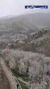 سفر به روستایی چهار فصل