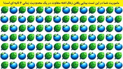 ماموریت شما در این تست بینایی یافتن زغال اخته متفاوت در یک محدودیت زمانی 6 ثانیه ای است!
