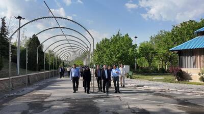 بانوان غرب تهران صاحب بوستان تخصصی می شوند| ساخت پارکینگ در بیمارستان های غرب تهران