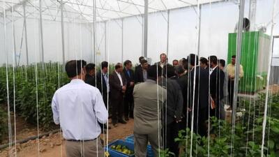 توسعه  گلخانه ها، راه کار کلیدی برای عبور از بحران آب و کشاورزی