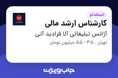 استخدام کارشناس ارشد مالی در آژانس تبلیغاتی آلا فرادید آتی