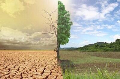 «کمربند سبز»راهکاری دانش‌بنیان برای جلوگیری از فرسایش خاک و گرد و غبار
