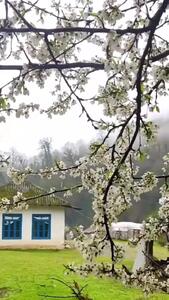 بهترین موسیقی با صدای طبیعت جنگل هیرکانی سوادکوه + فیلم