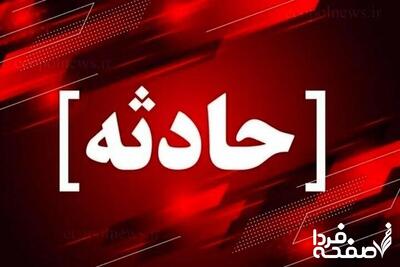 مرگ یک مرد جوان بخاطر حمله پلنگ! | مرگ دلخراش جوان در کوه‌های تربت‌حیدریه بر اثر حمله پلنگ
